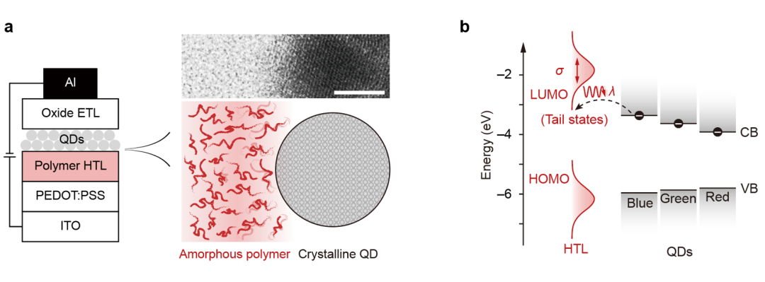 㽭W(xu)AW(xu)F(tun)(du)c(din)l(f)OоȡM(jn)չ