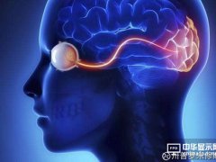 OLED行業漫談之三：OLED其實是個偏科的孩子