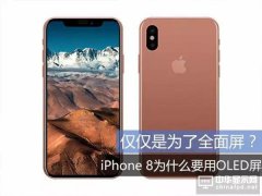 全面屏風(fēng)靡的時代  蘋果iPhone 8一定要采用OLED屏幕的理由